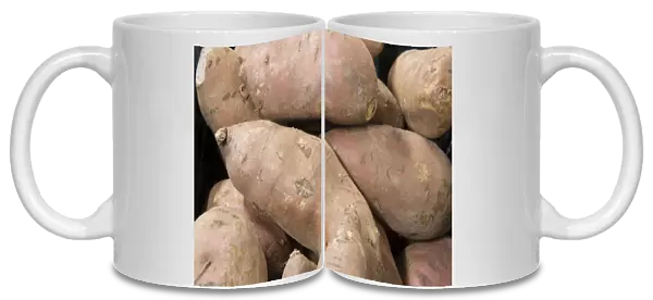 Sweet Potato (Ipomoea batatas) tubers in farm shop, Cheshire, England, February