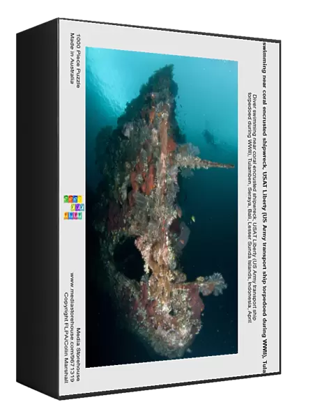 Diver swimming near coral encrusted shipwreck, USAT Liberty (US Army transport ship torpedoed during WWII), Tulamben
