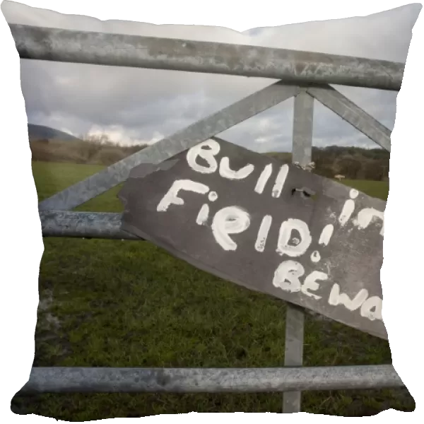 Bull in Field! Beware sign on farm gate, Chipping, Lancashire, England, January