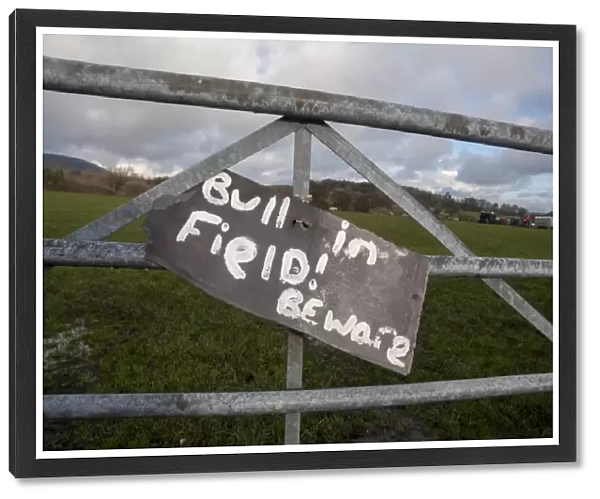 Bull in Field! Beware sign on farm gate, Chipping, Lancashire, England, January