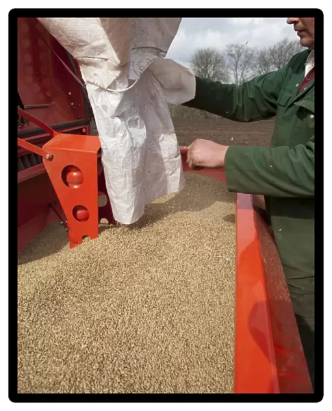 Farmer loading seed drill with Spring Barley seed, Cumbria, England, April