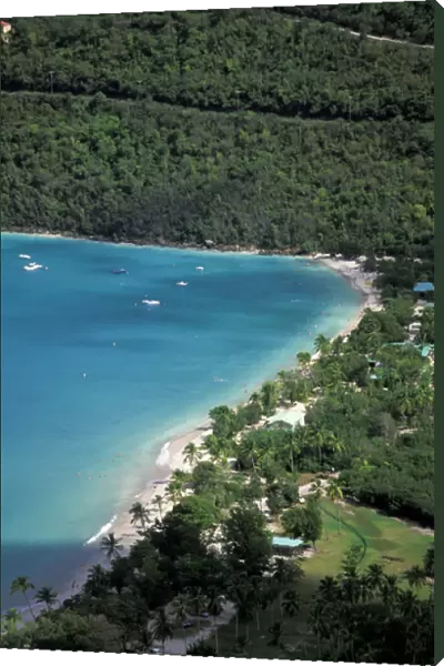 Caribbean, US Virgin Islands, St. Thomas, Magens Bay. Aerial view of bay and beach