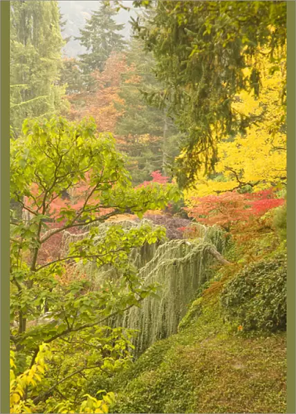 The Sunken Garden, Autumn Colors, Butchart Gardens, National Historic Site of Canada