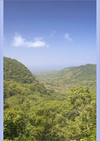 Caribbean, GRENADA, Interior, Grand Etang National Park Park View from the Beausejour