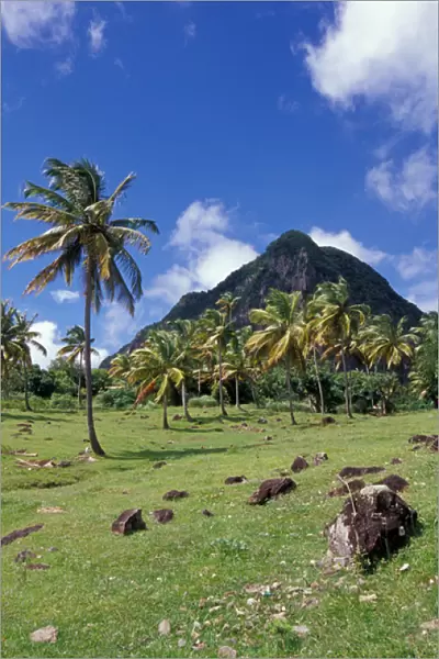 Caribbean, BWI, St. Lucia, Scenic views along the Pitons Natural Trail