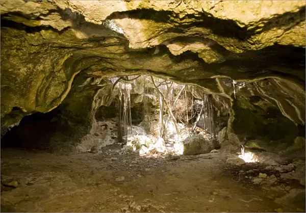 Cave inside the Bluff, Cayman Brac, Cayman Islands, Caribbean