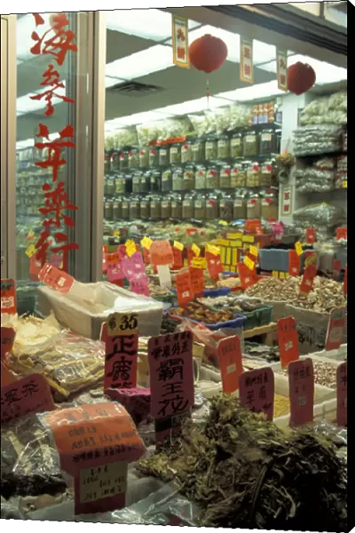 NA, Canada, British Columbia, Vancouver Market scene in Chinatown