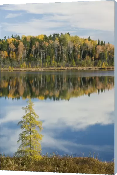 CANADA-Ontario-Kashabowie: Kashabowie Lake  /  Autumn