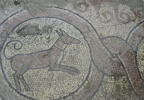 Europe, Albania, Butrint. Mosaics in the Thermae, 6th century BC. Greek and Roman