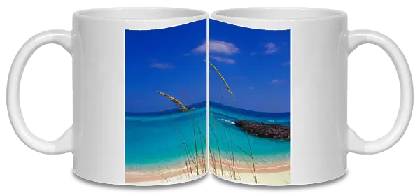 Pristine beach, Long Island, Bahamas