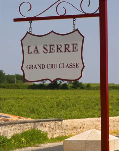 A sign in the vineyard saying Chateau La Serre Grand Cru Classe Saint Emilion Bordeaux