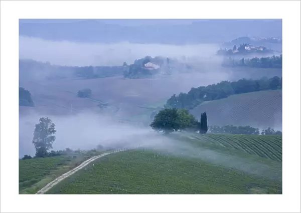 Italy, Tuscany, misty morning landscape