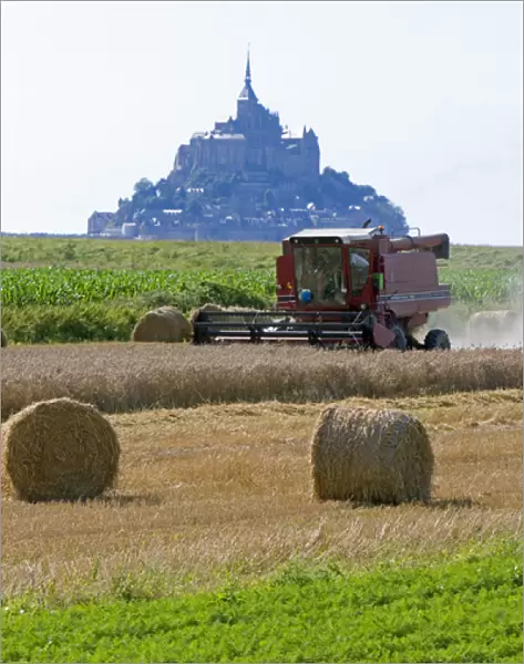 Harvesting wheat with Le Mont Saint Michel in the background in the region of Basse-Normandie