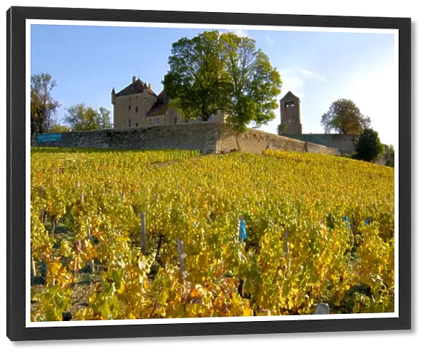 03. France, Burgundy, Maconnais region, Chateau de Pierreclos, view