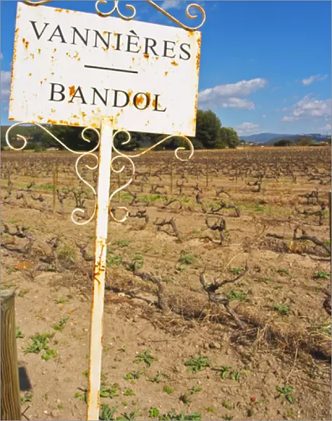 View over the vineyard in spring, sign with text Vannieres and Bandol Grape variety Cinsault