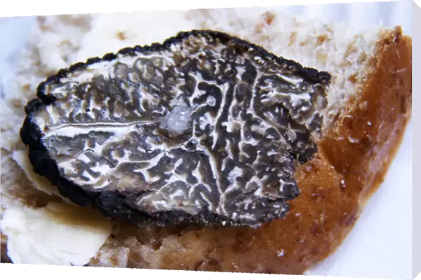 A slice of fresh Perigor truffles on a pice of bread with a drop of oil Truffiere de la Bergerie