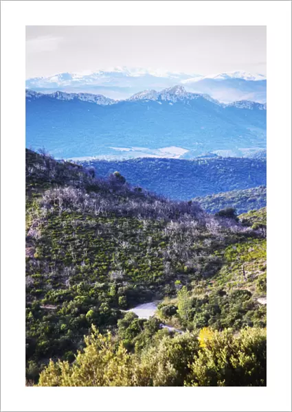 Maury. Roussillon. Spectacular view over the mountains. France. Europe. Mountains
