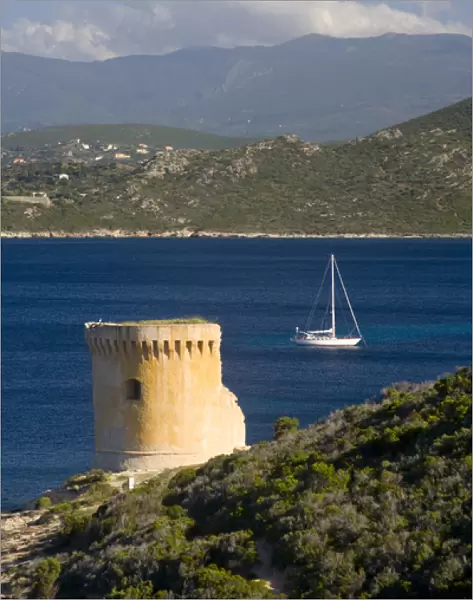 Corsica. France. Europe. Remains of Genoese tower on Point Mortella (Punta Mortella)