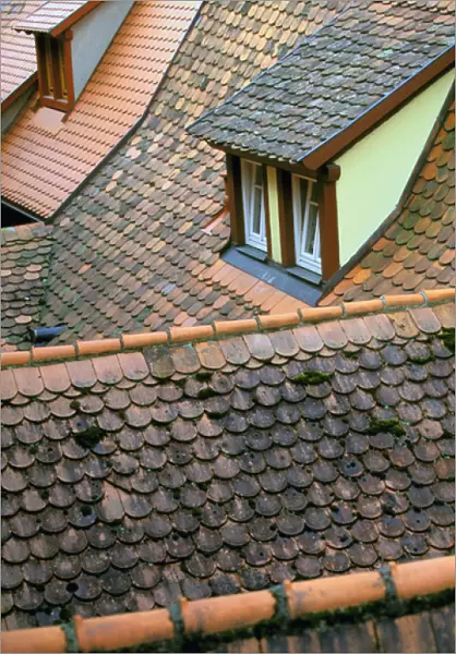 Europe, Germany, Bayern, Rothenburg Ob Der Tauber. Slate roof details