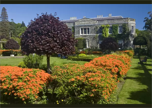 County Down, Ireland, formal garden, historic, wealth, orange, azalea