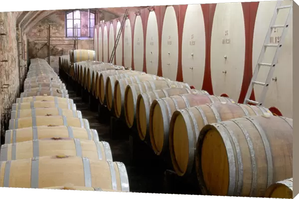 04. Italy, wine cellar of Poggi Winery near Bardolino (Editorial Usage Only)