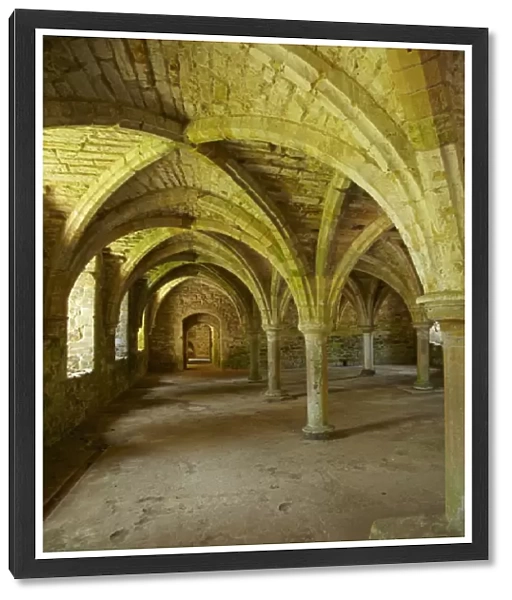 The Novices Room, Battle Abbey, Battle, East Sussex, England, United Kingdom