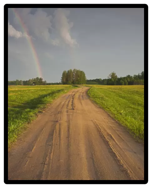 Latvia, Northeastern Latvia, Vidzeme Region, Gauja National Park, Rubene, country road