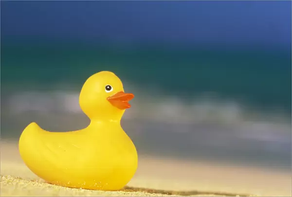 USA, Hawaii. Rubber duck on beach