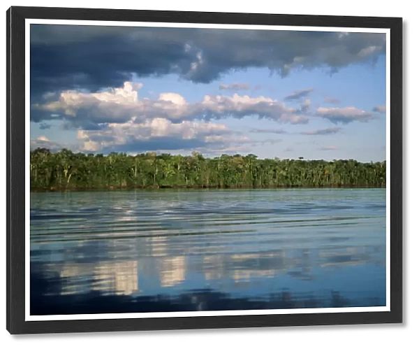 Mato Grosso, Brazil. Amazon; forested river bank with reflection of sky and trees