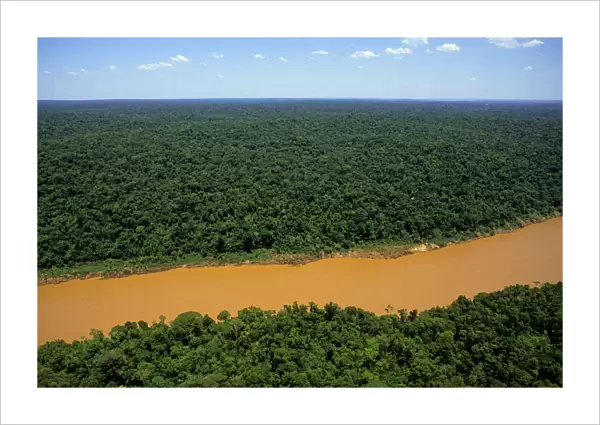 Brazil - Paraguay border. Aerial view of the rainforest canopy and the Paraguay river