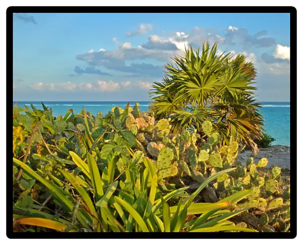 06. Mexico, Tulum, View of Caribbean Sea from cliffs