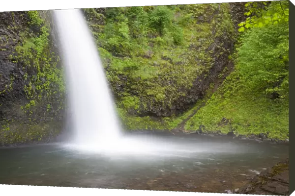 OR, Columbia River Gorge, Horsetail Falls