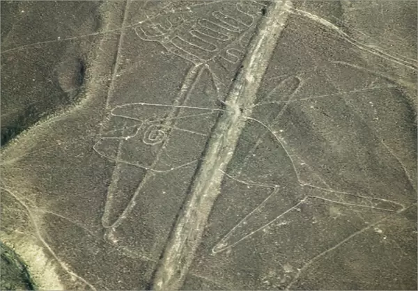 Aerial view of whale drawing, Nazca Lines, Peru