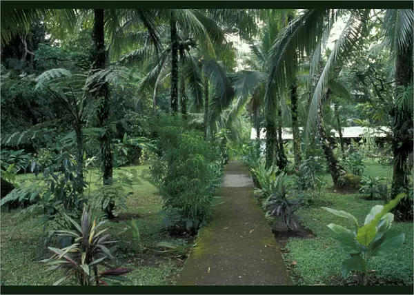 Central America, Costa Rica, Caribbean Coast. Lush gardens at the Tortuga Lodge