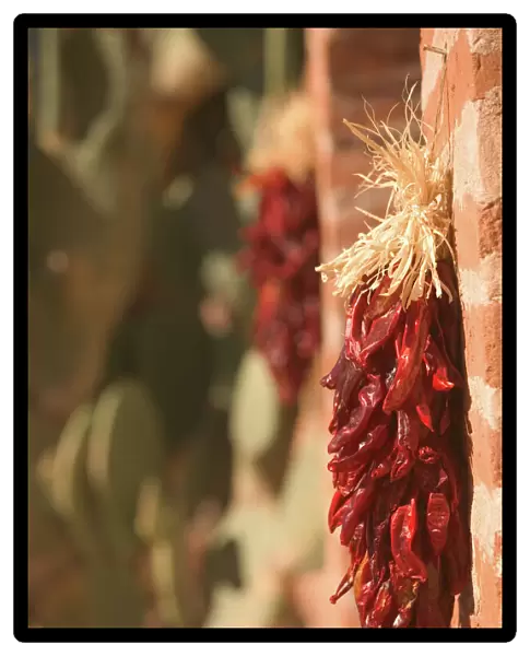 USA-ARIZONA-Tubac: South Arizonas Premier Craft Town Chili Ristra Wreath