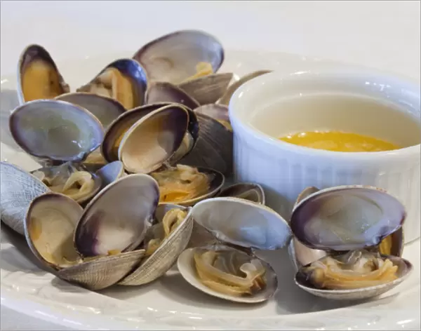 USA, Washington, Puget Sound. Steamed Manila clams and butter sauce. Credit as: Don