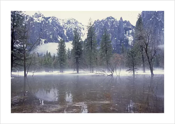 06. NA, USA, CA, Yosemite National Park