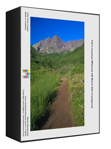 Trail in Snowmass Wilderness with Maroon Bells in background