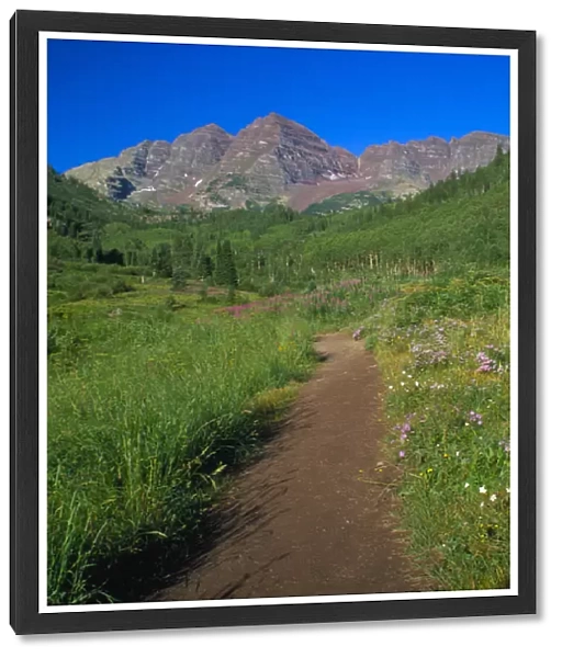 Trail in Snowmass Wilderness with Maroon Bells in background
