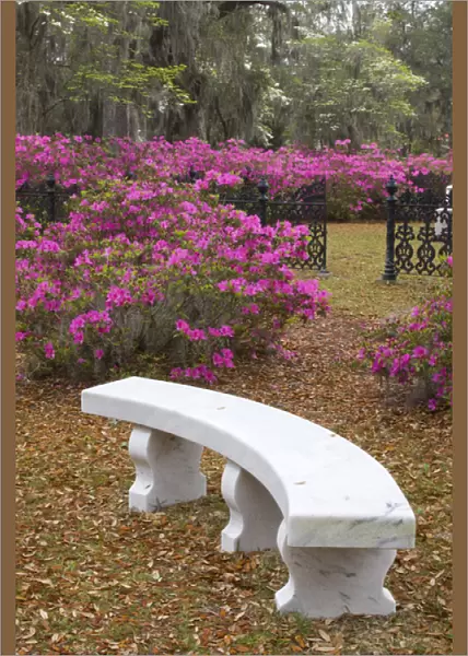USA; Georgia; Savannah; Spring at Historic Bonaventure Cemetery
