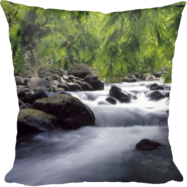 N. A. USA, Maui, Hawaii. Stream in Iao Valley State Park