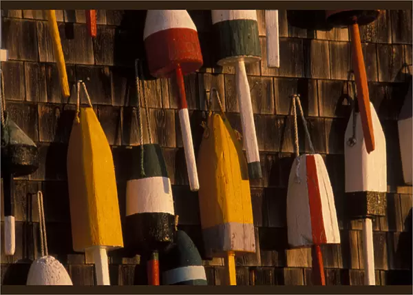 North America, U. S. A. Maine, Bernard, Lobster buoys