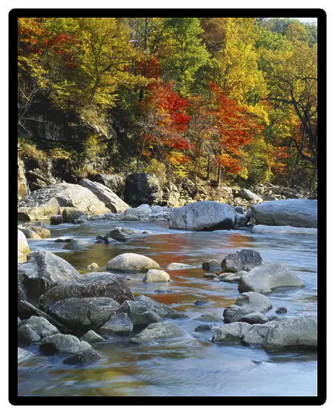 Maryland, Potomac State Forest, North Fork, River flowing through forest in autumn