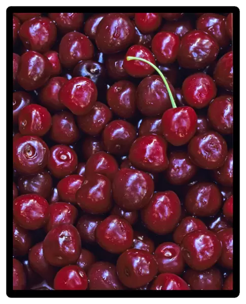 Flathead Sweet Cherries from Montana