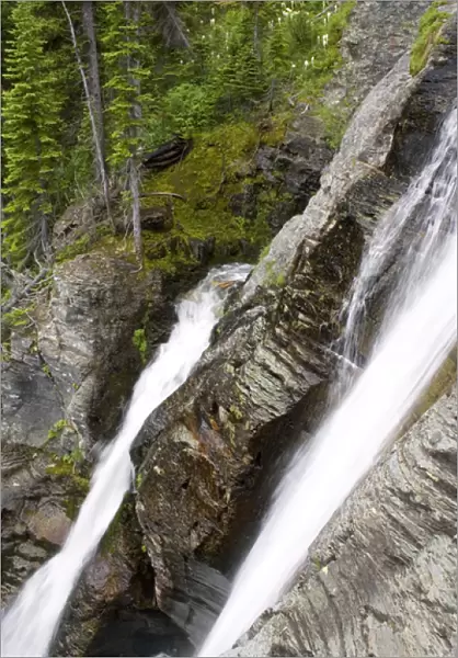 Rockwell Falls in Glacier National Park in Montana