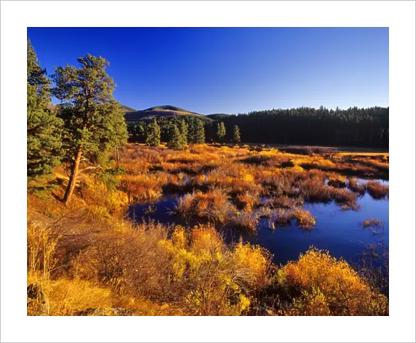 Warm Spring Creek wetlands in autumn in the Judith Mountains near Lewistown, Montana, USA