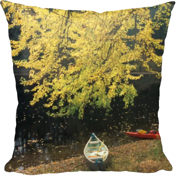 Boats under a silver maple on the banks of the Contoocook River in Contoocook, NH