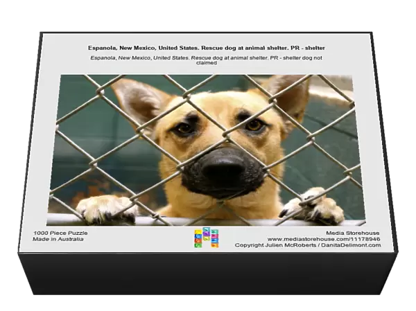Espanola, New Mexico, United States. Rescue dog at animal shelter. PR - shelter