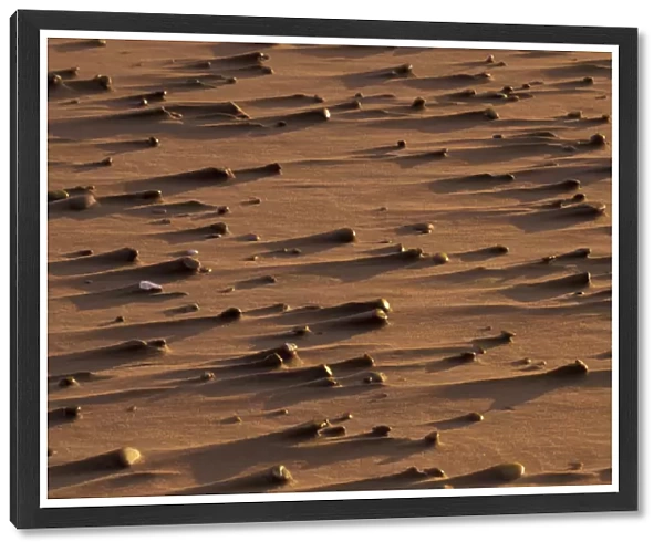 N. A. USA, Oregon, Bandon beach Erosion patterns around pebbles on windblown beach