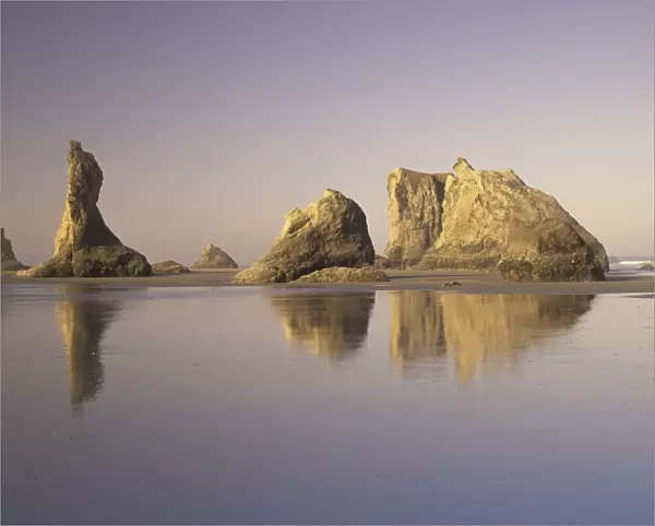 N. A. USA, Oregon, Bandon Beach State Park. Bandon Beach with mirrored seastack reflections